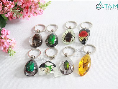 Móc khóa hình con bọ độc đáo